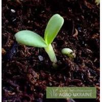 Малозатратное Микробиологическое удобрение- восстановление плодородия 1т/4000грн.1га/год