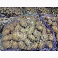 Продам картоплю з піску
