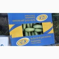 Продам кабачок искандер