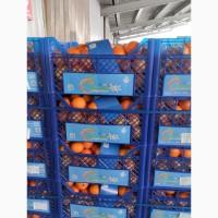 Продам мандарин зі складу у Львові