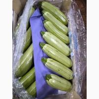 Кабачок свіжий 59 грн