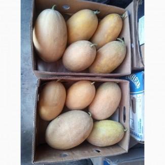 Продам диньку