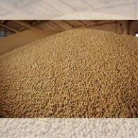 Куплю СОЮ без ГМО по всій Україні