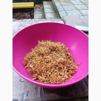 Гільзи/тютюн по НАЙКРАЩИМ цінам. якість