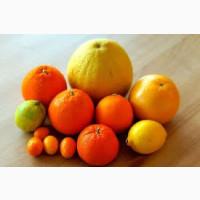 Постійно купуємо цитрусові від 10 тонн для оптової торгівлі