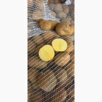 Бельгійська картопля