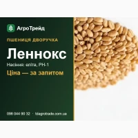 Купити насіння пшениці Леннокс - еліта, РН-1, документи