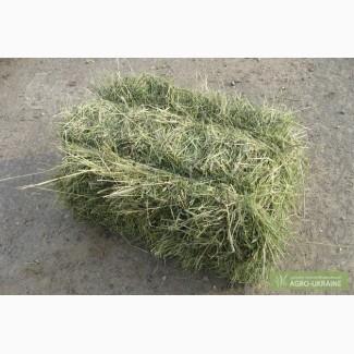 Продам сено