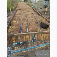 Технологические черви (семья) для биогумуса и для рыбалки