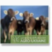 ЛИТОСИЛ биологический консервант силоса