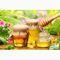 Покупаю мёд, без антибиотика, ДОРОГО