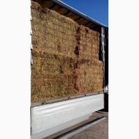 Продам люцерну в больших квадратных тюках(Доставка-Киев)
