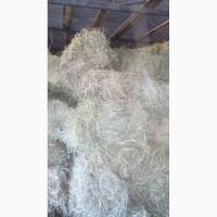 Продам люцерну в больших квадратных тюках(Доставка-Киев)