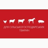 Кліносан, Йодоклін, Клінотоксил - Засоби біобезпеки від виробника - ЗВК