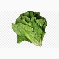 Продам салат Рамэн
