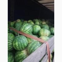 Продам арбуз на Шуваре