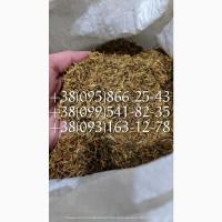 Самосад табак! табак берли вирд голд опт сорта табака, табаки болгария