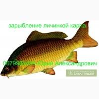 Пр0двм ли4инку кврпв