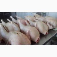Підприємство закуповує - ТУШКУ ІНДЕЙКИ та обробку