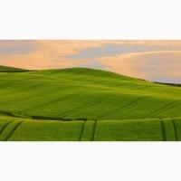 Продажа земли 160га
