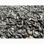 Кондитерський соняшник Лакомка