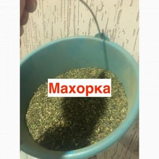 Продаю свіжу махорку, ароматна, домашня