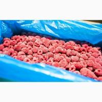 Фасування заморожених сипучих продуктів (ягід, фруктів, овочів, гриби)