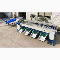 Калібратор для сортування/калібрування овочів, фруктів STvega Sorting H3000