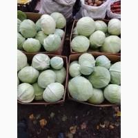 Продам капусту