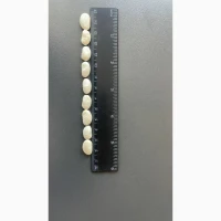 Продам фасоль Українського виробництва