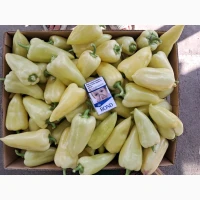Продам перець