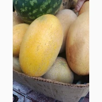 Продам диню