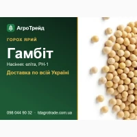 Горох ярий Гамбіт - насіння еліта, РН-1