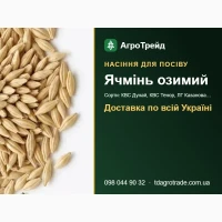 Продам насіння озимого ячменю - КВС Дунай, КВС Тенор, ЛГ Казанова