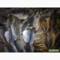 Продам желтый полосатик солено-сушеный (В)