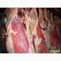 Продажа Мяса говядины (блочка, туша, полутуша, крупный кусок) Звоните!