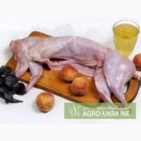 Куплю кролятину тушками. куплю мясо кролика.