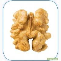 Грецкие орехи ядро грецких орехов