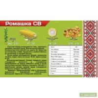 Насіння кукурудзи Ромашка св