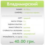 Продаем саженцы кизила Владимирский | частный питомник LITYNSAD