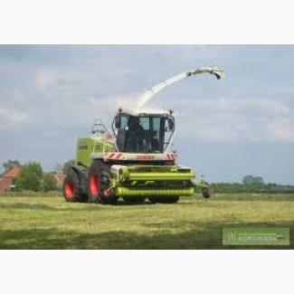 Послуги кормоуборочного комбайна Ягур