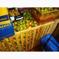 Продам яблука, груші з власного саду