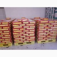 Финики Иран