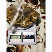Продам сушені гриби