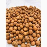 Куплю горіх волоський