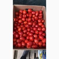 Продам помидор 3402