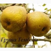 Продаем саженцы яблони, груши, айвы