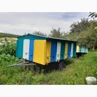 Бджолопавільйон