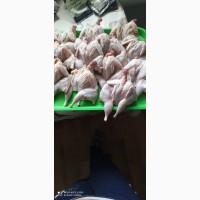 Продам тушки, яйця(столові, інкуб.) перепела техасець та фенікс золотий