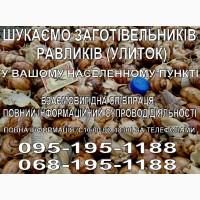 Закупаем улитку от населения и заготовителей ( равлик дикий )